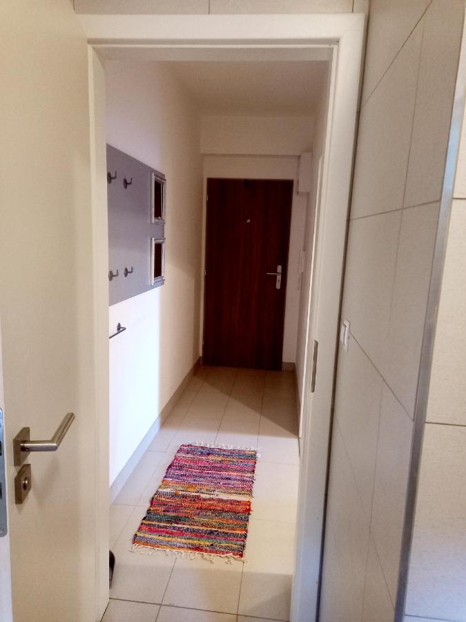 Apartmany Za Sneznikem Dolní Morava Exteriör bild