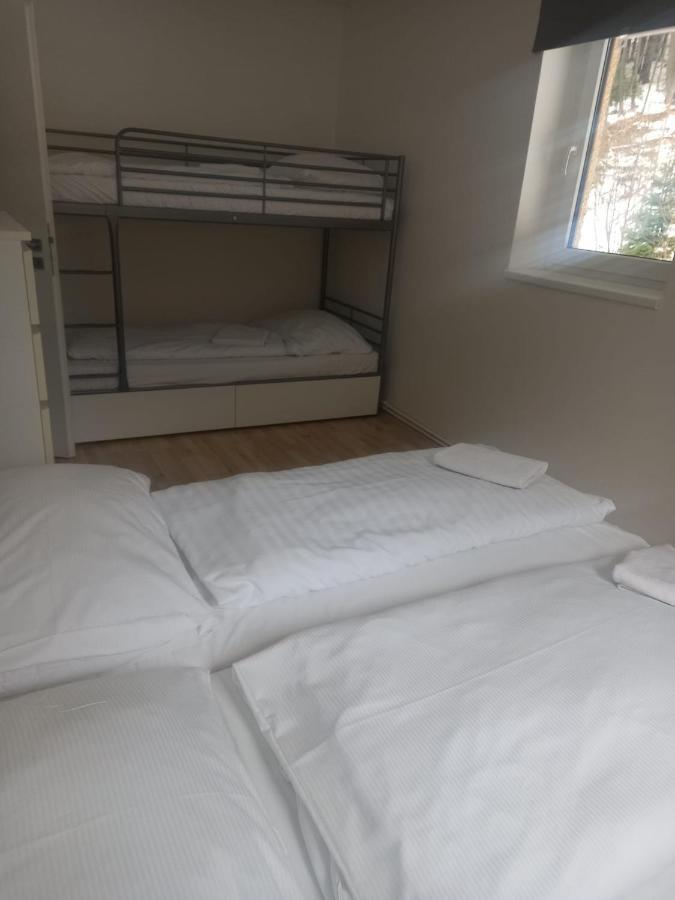 Apartmany Za Sneznikem Dolní Morava Exteriör bild