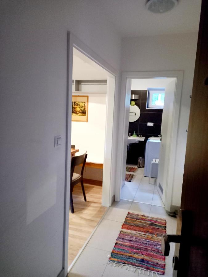 Apartmany Za Sneznikem Dolní Morava Exteriör bild