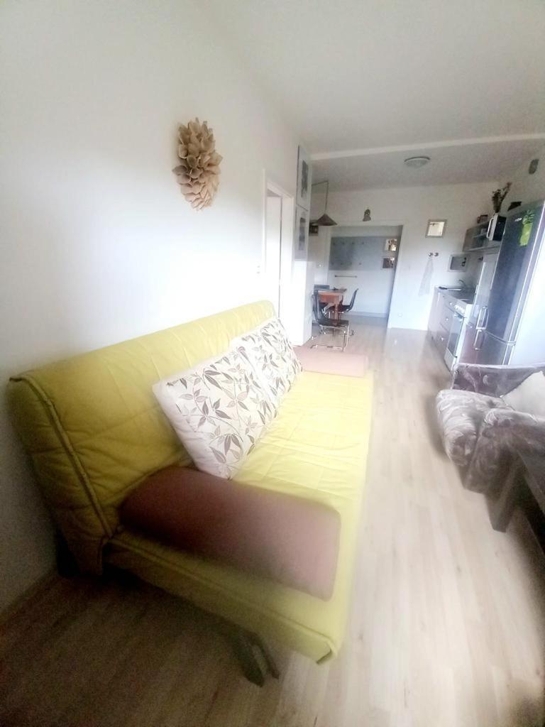 Apartmany Za Sneznikem Dolní Morava Exteriör bild